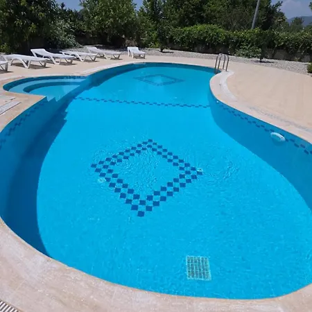 Mavi Calis فيلة *